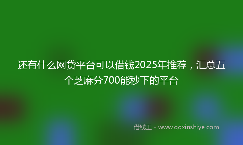 还有什么网贷平台可以借钱2025年推荐，汇总五个芝麻分700能秒下的平台