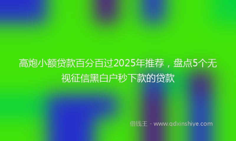 高炮小额贷款百分百过2025年推荐，盘点5个无视征信黑白户秒下款的贷款