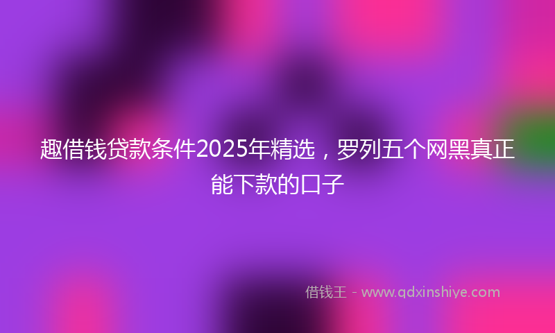 趣借钱贷款条件2025年精选，罗列五个网黑真正能下款的口子
