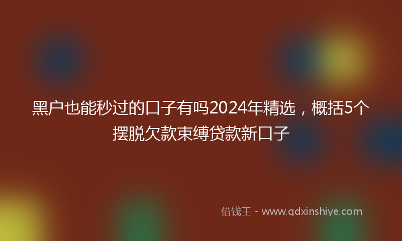 黑户也能秒过的口子有吗2024年精选，概括5个摆脱欠款束缚贷款新口子