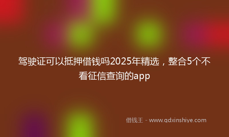 驾驶证可以抵押借钱吗2025年精选，整合5个不看征信查询的app