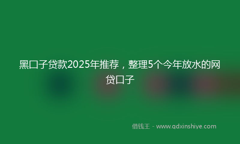 黑囗子贷款2025年推荐，整理5个今年放水的网贷口子