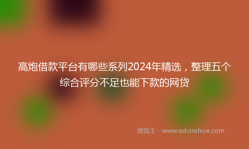 高炮借款平台有哪些系列2024年精选，整理五个综合评分不足也能下款的网贷