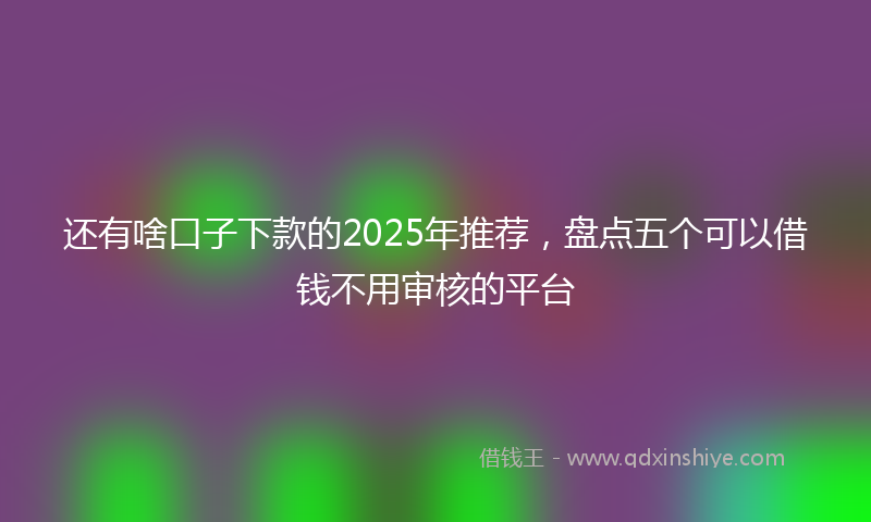 还有啥口子下款的2025年推荐，盘点五个可以借钱不用审核的平台