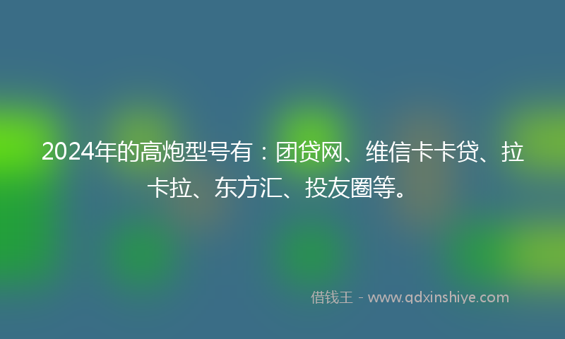 2024年的高炮型号有：团贷网、维信卡卡贷、拉卡拉、东方汇、投友圈等。
