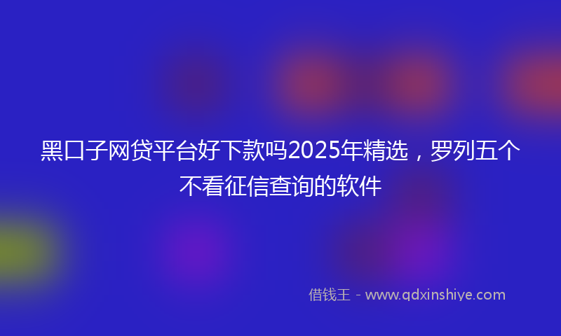 黑口子网贷平台好下款吗2025年精选，罗列五个不看征信查询的软件