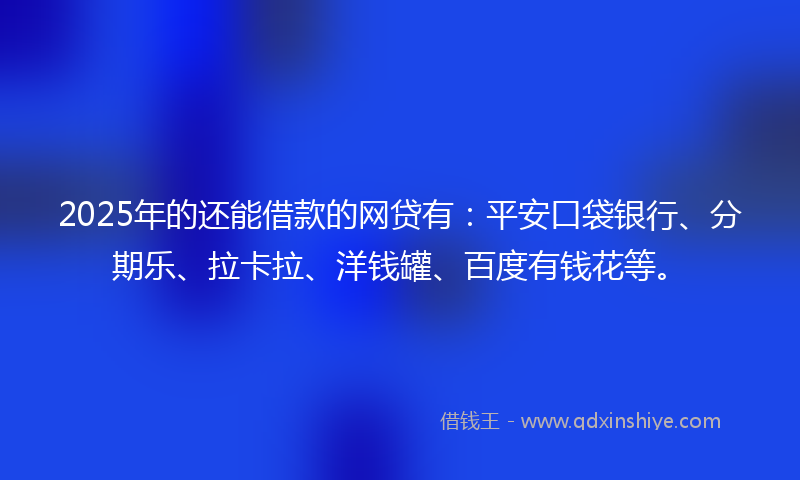 2025年的还能借款的网贷有：平安口袋银行、分期乐、拉卡拉、洋钱罐、百度有钱花等。