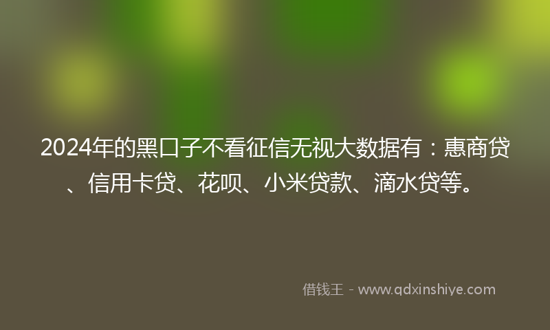 2024年的黑口子不看征信无视大数据有：惠商贷、信用卡贷、花呗、小米贷款、滴水贷等。