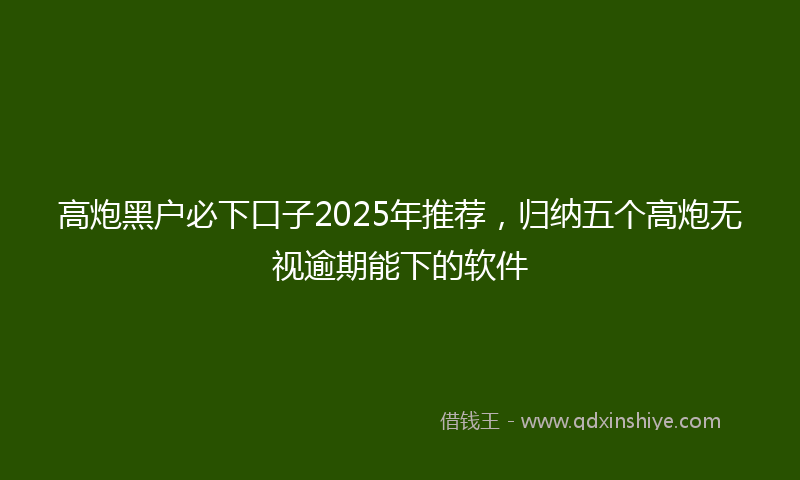 高炮黑户必下口子2025年推荐，归纳五个高炮无视逾期能下的软件