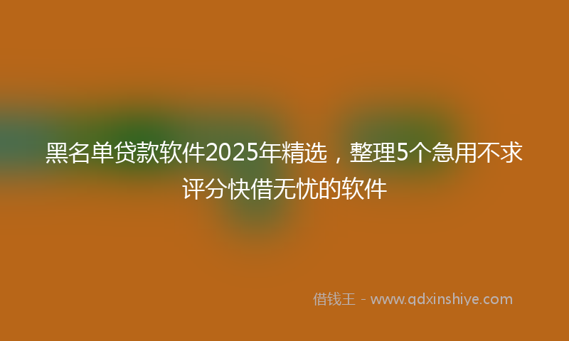 黑名单贷款软件2025年精选，整理5个急用不求评分快借无忧的软件