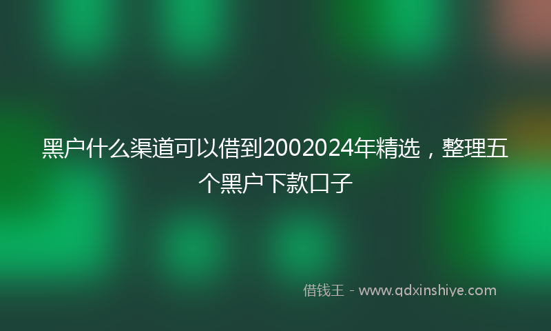 黑户什么渠道可以借到2002024年精选，整理五个黑户下款口子