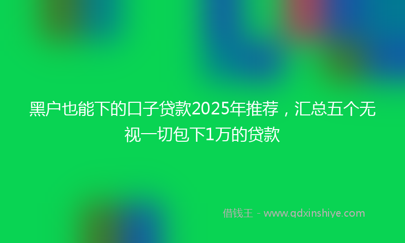 黑户也能下的口子贷款2025年推荐，汇总五个无视一切包下1万的贷款
