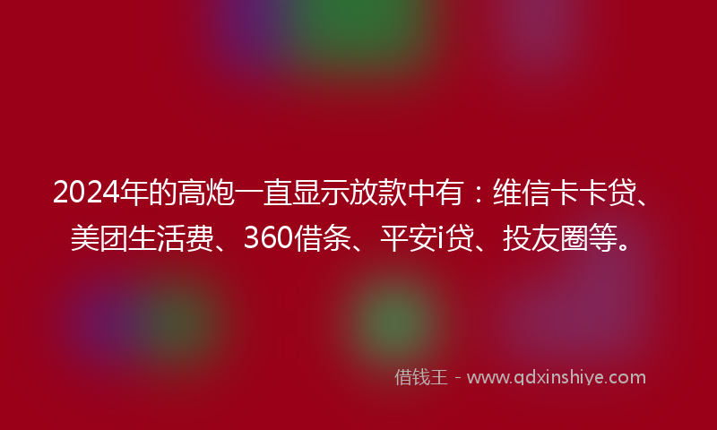 2024年的高炮一直显示放款中有：维信卡卡贷、美团生活费、360借条、平安i贷、投友圈等。