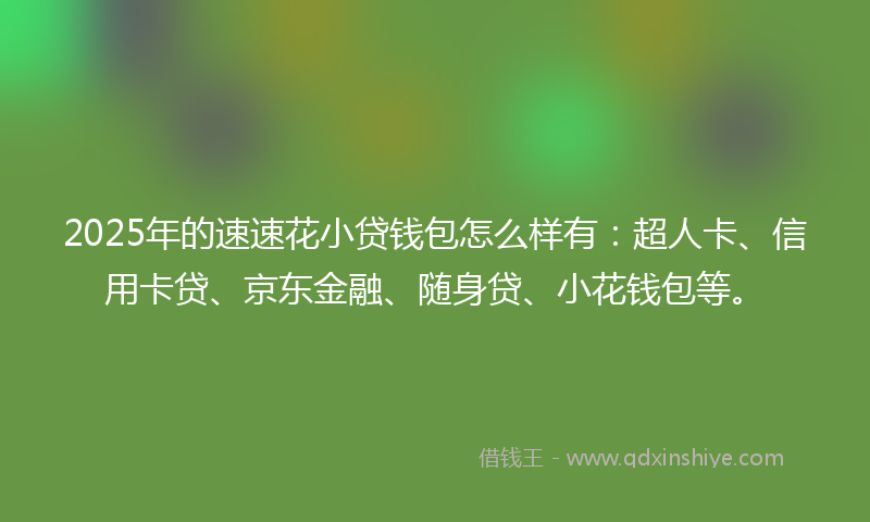 2025年的速速花小贷钱包怎么样有：超人卡、信用卡贷、京东金融、随身贷、小花钱包等。