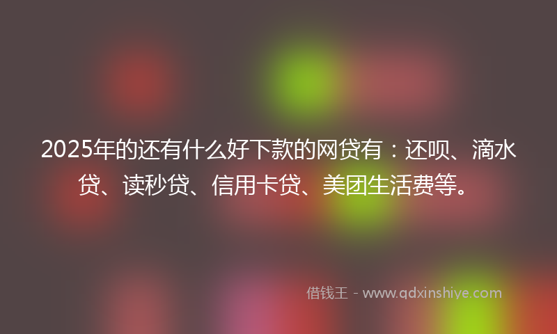 2025年的还有什么好下款的网贷有：还呗、滴水贷、读秒贷、信用卡贷、美团生活费等。