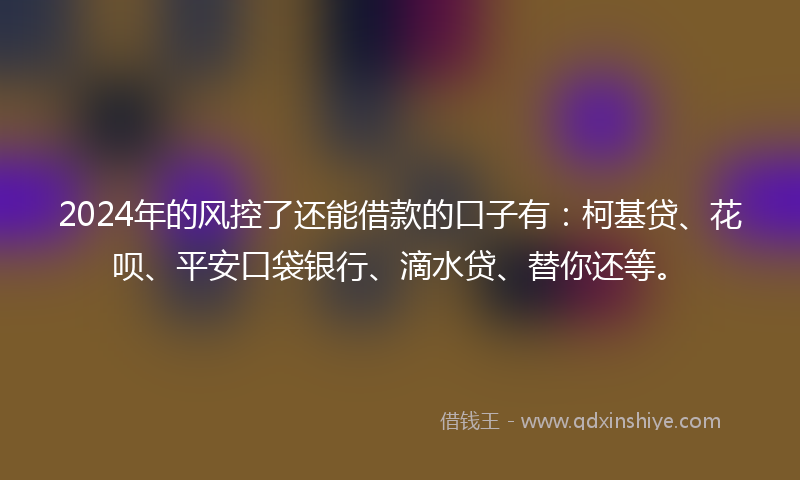 2024年的风控了还能借款的口子有：柯基贷、花呗、平安口袋银行、滴水贷、替你还等。