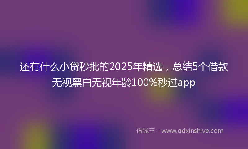 还有什么小贷秒批的2025年精选，总结5个借款无视黑白无视年龄100%秒过app