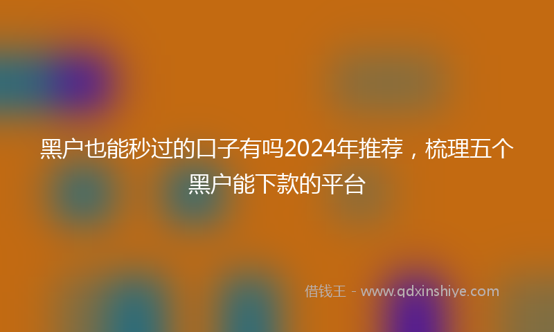 黑户也能秒过的口子有吗2024年推荐，梳理五个黑户能下款的平台