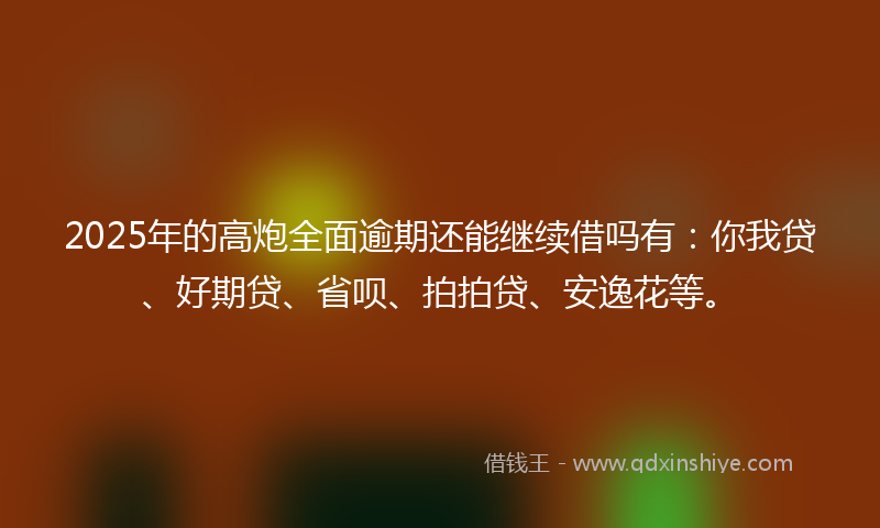 2025年的高炮全面逾期还能继续借吗有：你我贷、好期贷、省呗、拍拍贷、安逸花等。