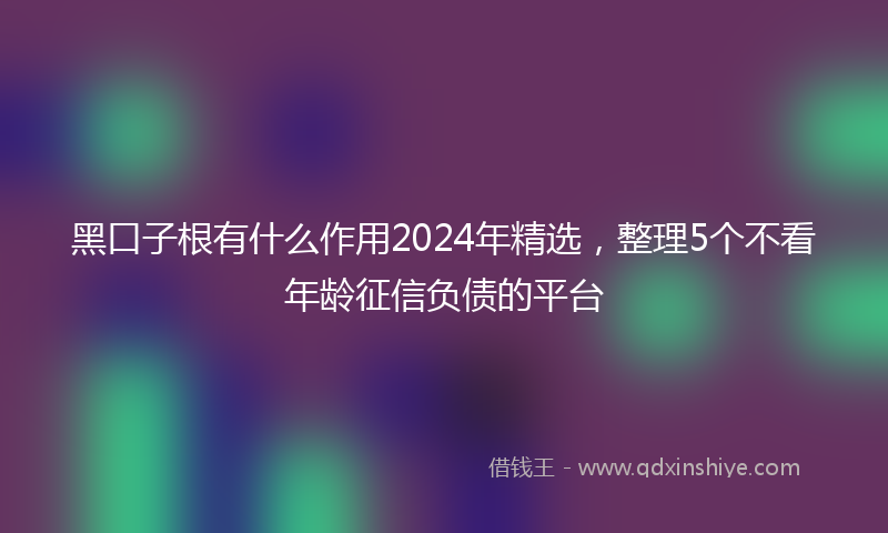 黑口子根有什么作用2024年精选，整理5个不看年龄征信负债的平台