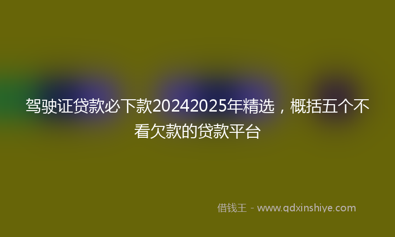 驾驶证贷款必下款20242025年精选，概括五个不看欠款的贷款平台