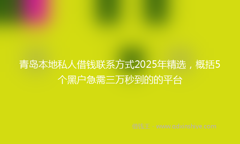 青岛本地私人借钱联系方式2025年精选，概括5个黑户急需三万秒到的的平台