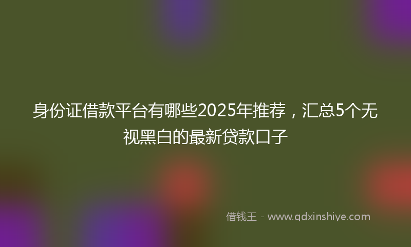身份证借款平台有哪些2025年推荐，汇总5个无视黑白的最新贷款口子
