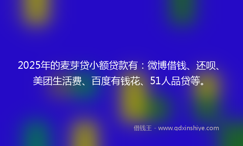 2025年的麦芽贷小额贷款有：微博借钱、还呗、美团生活费、百度有钱花、51人品贷等。