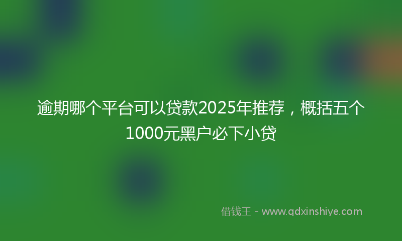 逾期哪个平台可以贷款2025年推荐，概括五个1000元黑户必下小贷