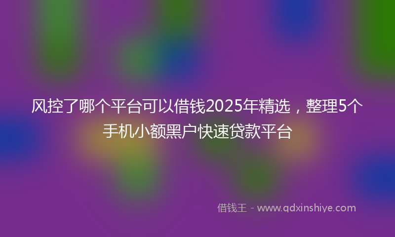 风控了哪个平台可以借钱2025年精选，整理5个手机小额黑户快速贷款平台