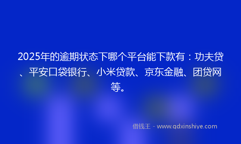 2025年的逾期状态下哪个平台能下款有：功夫贷、平安口袋银行、小米贷款、京东金融、团贷网等。