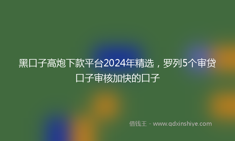 黑口子高炮下款平台2024年精选，罗列5个审贷口子审核加快的口子