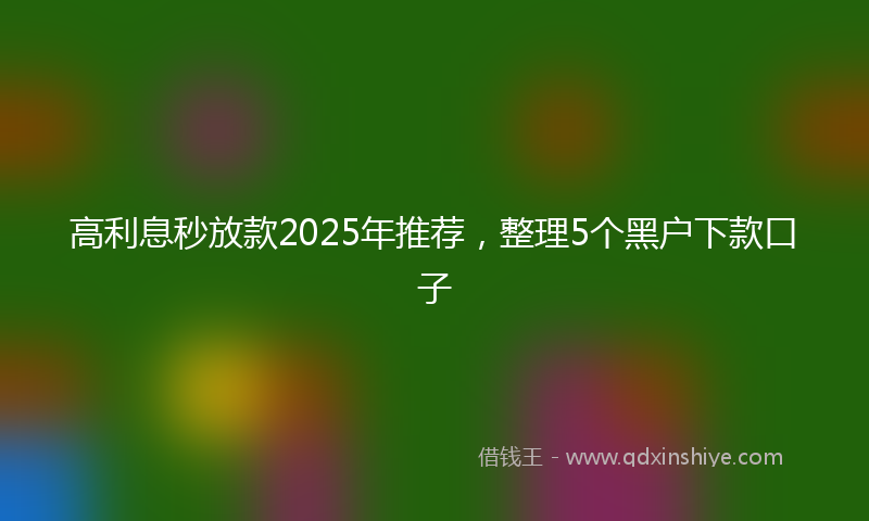 高利息秒放款2025年推荐，整理5个黑户下款口子