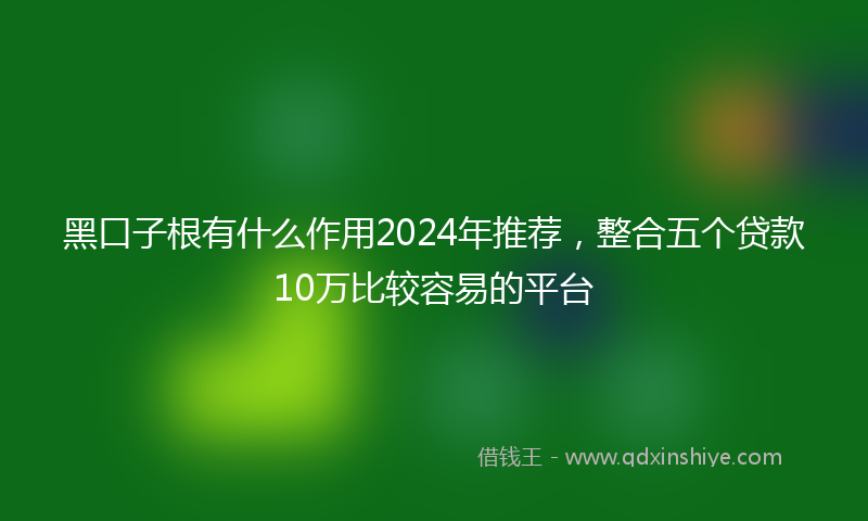 黑口子根有什么作用2024年推荐，整合五个贷款10万比较容易的平台