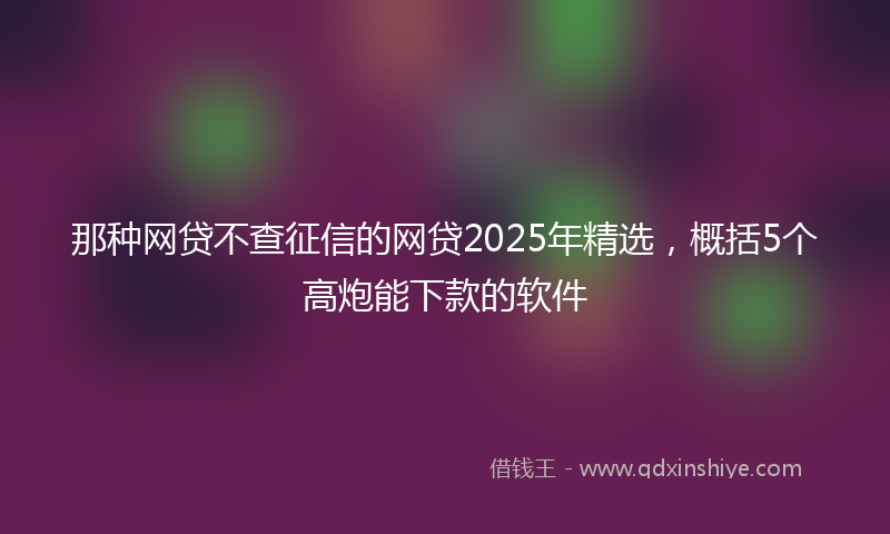 那种网贷不查征信的网贷2025年精选，概括5个高炮能下款的软件