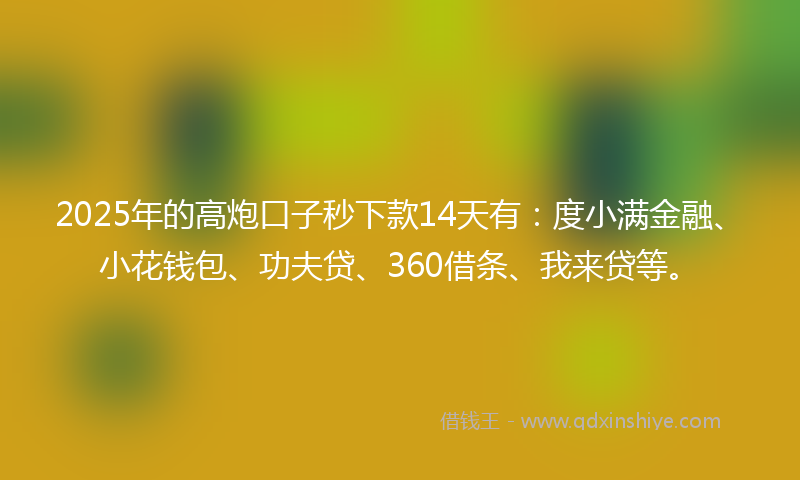 2025年的高炮口子秒下款14天有：度小满金融、小花钱包、功夫贷、360借条、我来贷等。