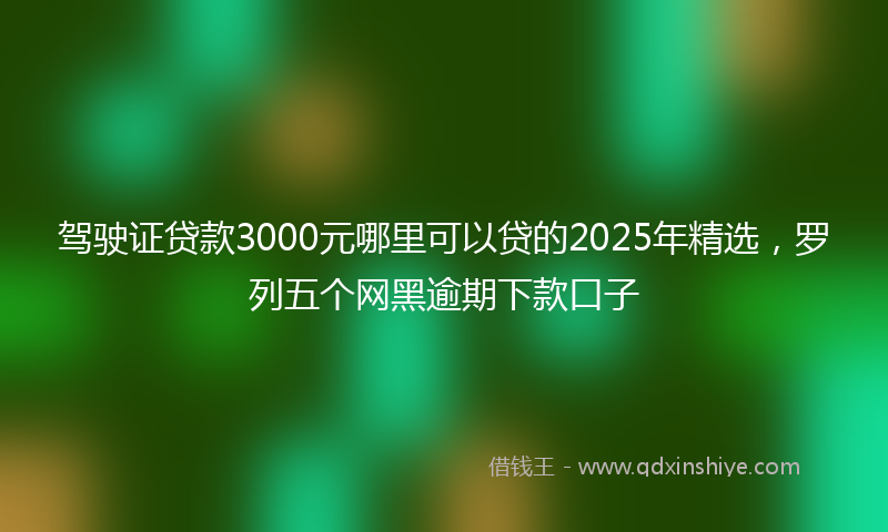 驾驶证贷款3000元哪里可以贷的2025年精选，罗列五个网黑逾期下款口子