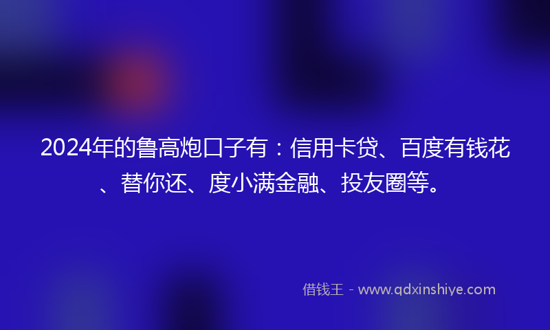 2024年的鲁高炮口子有：信用卡贷、百度有钱花、替你还、度小满金融、投友圈等。