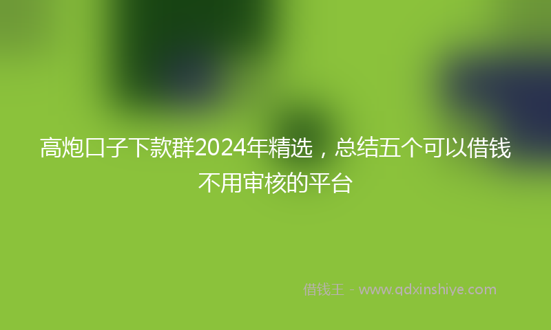 高炮口子下款群2024年精选，总结五个可以借钱不用审核的平台