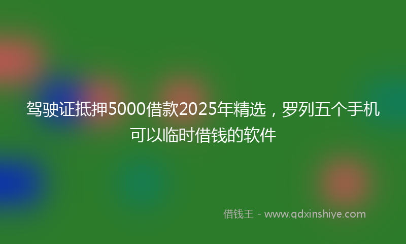 驾驶证抵押5000借款2025年精选，罗列五个手机可以临时借钱的软件