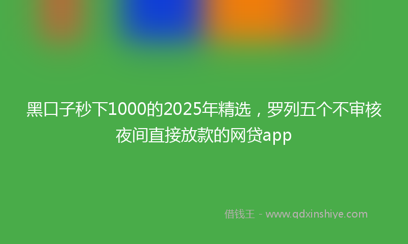 黑口子秒下1000的2025年精选，罗列五个不审核夜间直接放款的网贷app