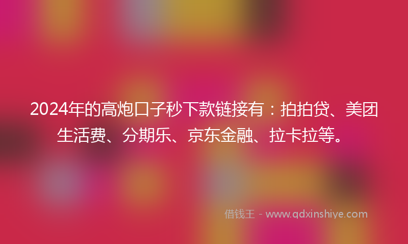 2024年的高炮口子秒下款链接有：拍拍贷、美团生活费、分期乐、京东金融、拉卡拉等。