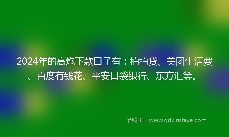 2024年的高炮下款口子有：拍拍贷、美团生活费、百度有钱花、平安口袋银行、东方汇等。