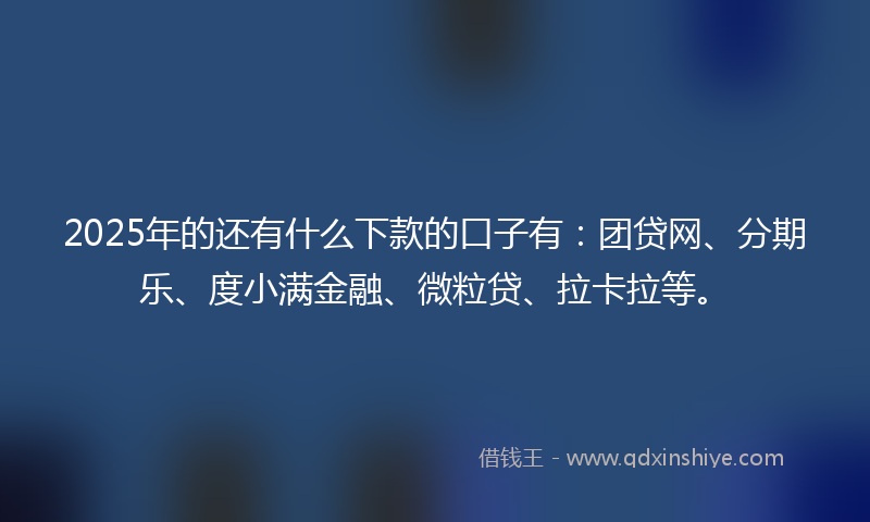 2025年的还有什么下款的口子有：团贷网、分期乐、度小满金融、微粒贷、拉卡拉等。