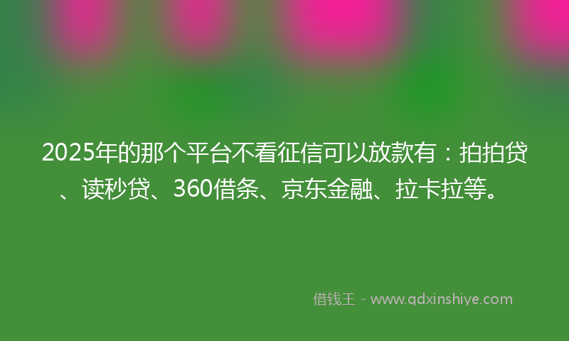 2025年的那个平台不看征信可以放款有：拍拍贷、读秒贷、360借条、京东金融、拉卡拉等。