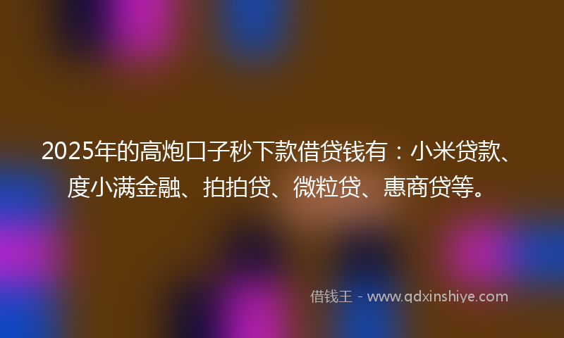 2025年的高炮口子秒下款借贷钱有：小米贷款、度小满金融、拍拍贷、微粒贷、惠商贷等。