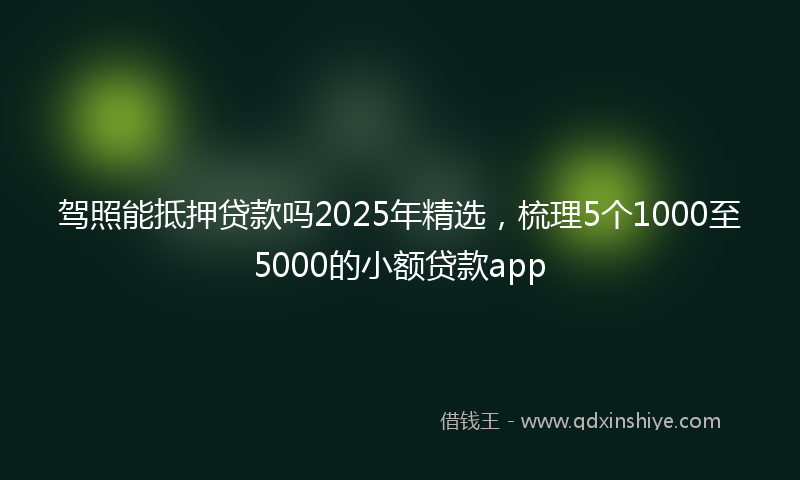 驾照能抵押贷款吗2025年精选，梳理5个1000至5000的小额贷款app