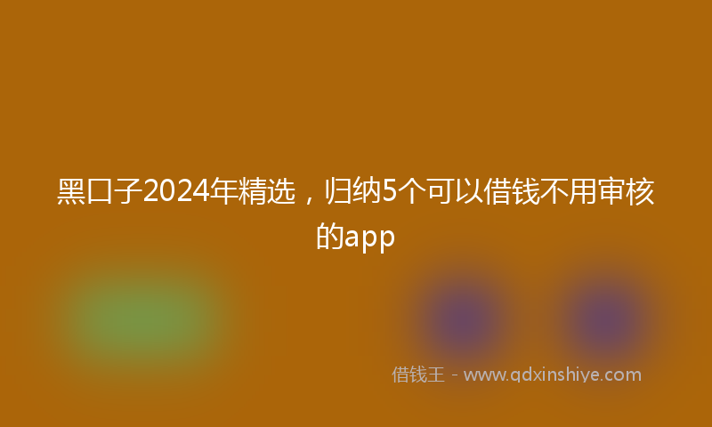 黑口子2024年精选，归纳5个可以借钱不用审核的app