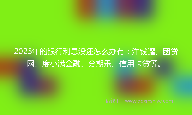 2025年的银行利息没还怎么办有：洋钱罐、团贷网、度小满金融、分期乐、信用卡贷等。