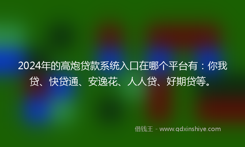 2024年的高炮贷款系统入口在哪个平台有：你我贷、快贷通、安逸花、人人贷、好期贷等。